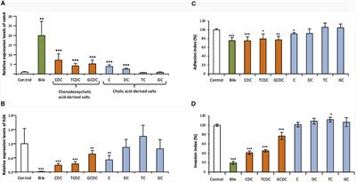 Major primary bile salts repress Salmonella enterica serovar Typhimurium invasiveness partly via the efflux regulatory locus ramRA